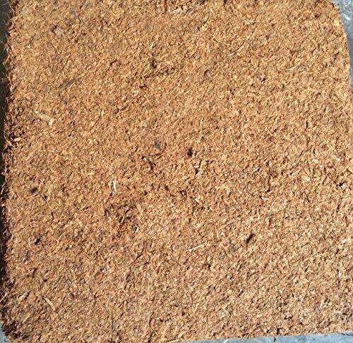 Plantonix Coco Coir Block 5kg