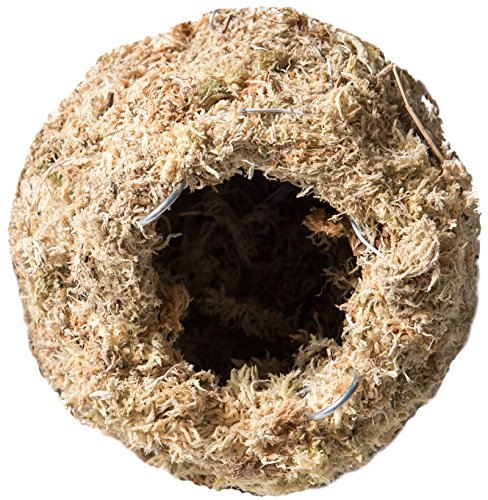Galapagos Mossy Cave Hide, 6″, Blond Sphagnum